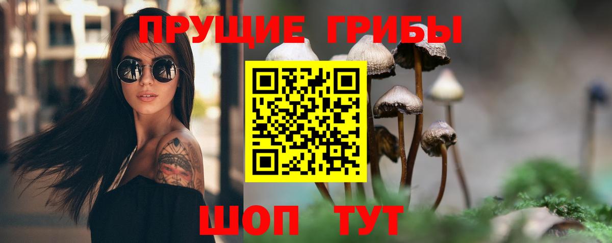 Галлюциногенные грибы Psilocybe  Галлюциногенные грибы мухоморы  Вход с VPN  Санкт-Петербург 